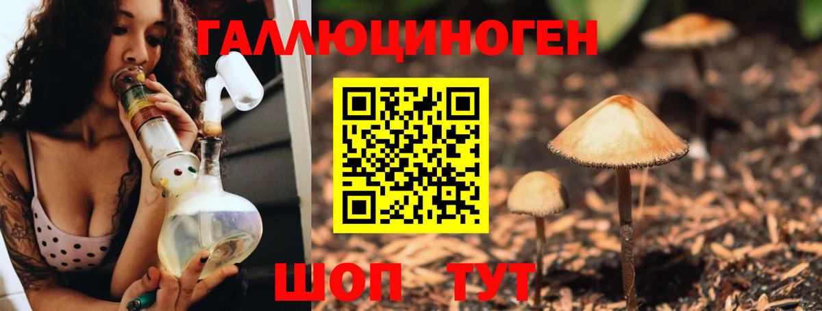 Псилоцибиновые грибы ЛСД Новосибирск